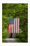 American flag hanging above gravel road by Anonymous