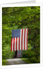 American flag hanging above gravel road by Anonymous
