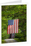 American flag hanging above gravel road by Anonymous