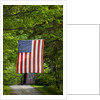 American flag hanging above gravel road by Anonymous