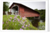 Henry Covered Bridge by Anonymous