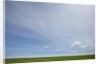 Sky above wheat field by Anonymous