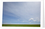 Sky above wheat field by Anonymous