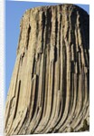 Devils Tower National Monument by Anonymous