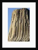 Devils Tower National Monument by Anonymous