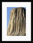 Devils Tower National Monument by Anonymous