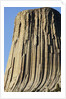Devils Tower National Monument by Anonymous