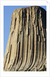 Devils Tower National Monument by Anonymous