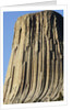 Devils Tower National Monument by Anonymous