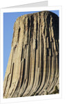Devils Tower National Monument by Anonymous