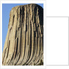 Devils Tower National Monument by Anonymous