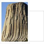 Devils Tower National Monument by Anonymous