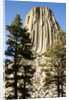 Devils Tower National Monument in Wyoming by Anonymous