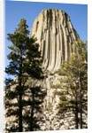 Devils Tower National Monument in Wyoming by Anonymous