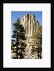 Devils Tower National Monument in Wyoming by Anonymous
