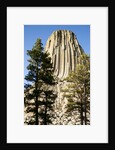Devils Tower National Monument in Wyoming by Anonymous
