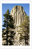 Devils Tower National Monument in Wyoming by Anonymous