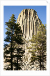 Devils Tower National Monument in Wyoming by Anonymous