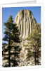 Devils Tower National Monument in Wyoming by Anonymous