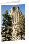 Devils Tower National Monument in Wyoming by Anonymous