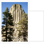 Devils Tower National Monument in Wyoming by Anonymous