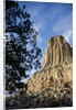 Devils Tower National Monument in Wyoming by Anonymous