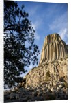 Devils Tower National Monument in Wyoming by Anonymous
