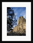 Devils Tower National Monument in Wyoming by Anonymous
