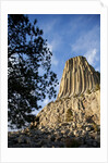 Devils Tower National Monument in Wyoming by Anonymous
