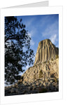 Devils Tower National Monument in Wyoming by Anonymous