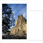 Devils Tower National Monument in Wyoming by Anonymous