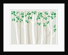 Forest illustration by Anonymous