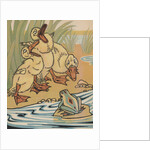 Ducklings and frog by Anonymous