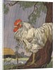 Unhappy rooster in rain by Anonymous