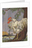 Unhappy rooster in rain by Anonymous