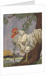 Unhappy rooster in rain by Anonymous