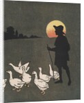 Boy hearding geese at sunset by Anonymous