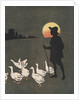 Boy hearding geese at sunset by Anonymous