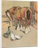 Horse and ducks by Anonymous