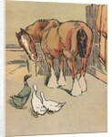 Horse and ducks by Anonymous
