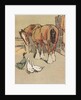 Horse and ducks by Anonymous