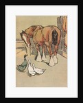 Horse and ducks by Anonymous