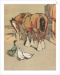 Horse and ducks by Anonymous