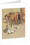 Horse and ducks by Anonymous