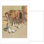 Horse and ducks by Anonymous