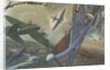 British combat aircraft during World War II by Anonymous