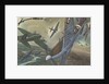 British combat aircraft during World War II by Anonymous