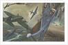 British combat aircraft during World War II by Anonymous