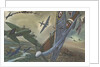 British combat aircraft during World War II by Anonymous