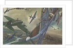 British combat aircraft during World War II by Anonymous